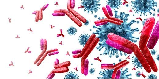 Anticuerpos atacando un virus